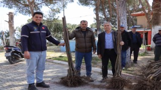 Nazilli Belediyesi çiftçinin yüzünü güldürmeye devam ediyor 