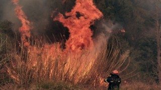 Sisam Adası’nda orman yangını