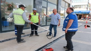 Aydın Büyükşehir Belediyesi ve Koçarlı Belediyesi'nden sokak canları için ortak çalışma 