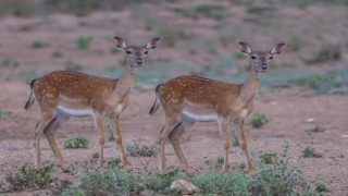 Yüzyıllardır Milli Park’ta yaşıyorlar