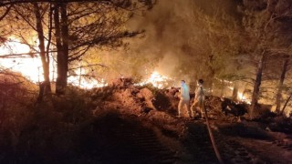 Datça'daki orman yangınında çalışmalar gece de devam ediyor