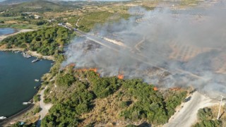 Didim'de orman yangını korkuttu