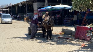 Acarlar'da at arabacılarının zorlu yaşam mücadelesi 