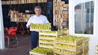 Hasadın başladığı Buharkent, festival için gün sayıyor