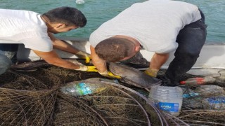 Kemer Barajı'nda kaçak avcılığa geçit verilmiyor