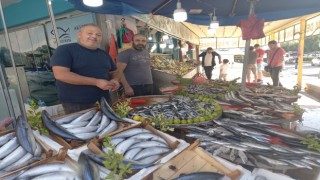 Karadeniz’deki palamut bolluğu Aydın’a yansıdı