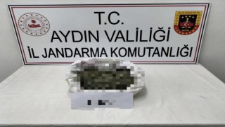 Aydın’da 1 ayda 145 şüpheli yakalandı