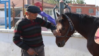 Gözü gibi baktığı rahvan atlarıyla binlerce yıllık geleneği yaşatıyor