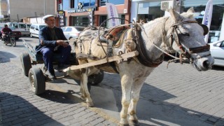 Sayıları az kalsa da ekmek parası için çalışıyorlar