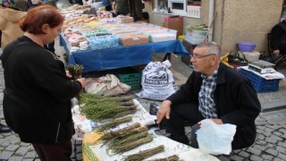 Aydın’ın acı otu, fiyatına rağmen kapış kapış gidiyor 