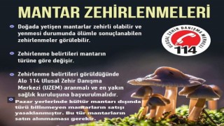 Karacasu’da türü bilinmeyen mantarların satışı yasaklandı