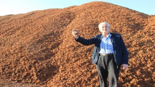 Kömür fiyatları arttı, çam fıstığı kabukları kıymete bindi