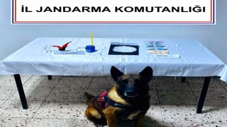 Narkotik köpek ‘Kont’ destekli uyuşturucu operasyonu