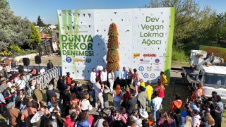 Didim Vegfest unutulmaz anlara şahitlik ediyor 