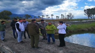 Kuşadası Kocagöl’de “tahribat” incelemesi