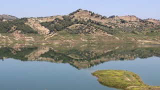 Aydın’da bahar yağmurları sevindirdi