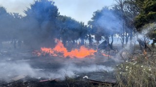 Kuşadası’nda arazi yangınında sabotaj iddiası