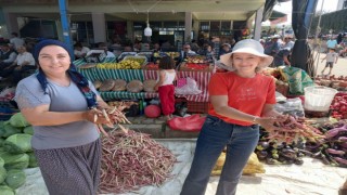 Barbunyaya hasret Barbunya Festivali