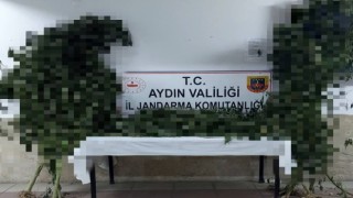 Nazilli’de uyuşturucu operasyonu