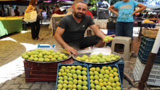 Sezonun ilk incirini pazar tezgahlarında yerini aldı