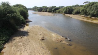 Sıcaklık ve kuraklık, Menderes’i etkiledi