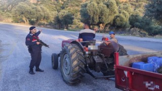 36 tarım hırsızını jandarma yakaladı 