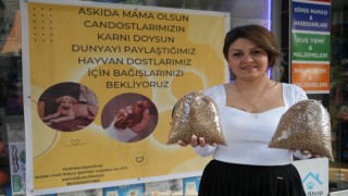 Sokak hayvanları için 'Askıda mama' kampanyası