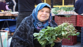 Ege'nin otları kapış kapış gidiyor 