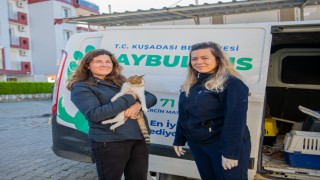 Kuşadası Belediyesi’nin Haybulans'ı 78 bin hayvanın yardımına koştu 