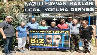 Hayvanseverler sokak hayvanları için ayakta: 'Katliama izin vermeyeceğiz'