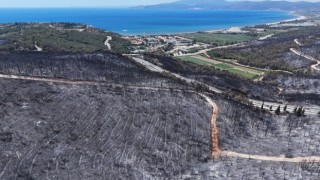 Kuşadası'ndaki orman yangınında antik su kemeri zarar gördü