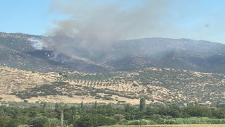 Nazilli’de makilik yangınını söndürme çalışmaları devam ediyor