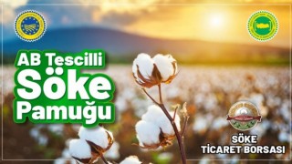 Söke Pamuğu, AB tarafından da tescillendi