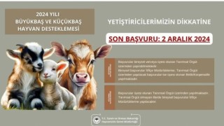 Aydın İl Tarım ve Orman Müdürlüğü'nden destekleme başvuruları için son gün uyarısı