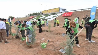 Aydın’da binlerce fidan toprakla buluşacak