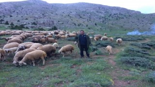 Aydın'da düzenlenen Yörük Çalıştayı'nın sonuç raporu yayınlandı