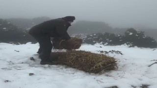 Soğuk havalarda doğal yaşamı desteklemek için harekete geçtiler 