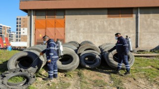 Efeler'de sineklerle mücadele 12 ay boyunca devam ediyor