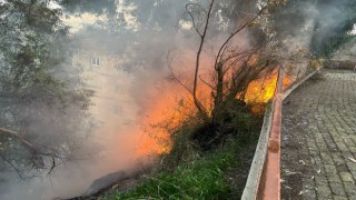 Aydın'da çıkan yangın korkuttu