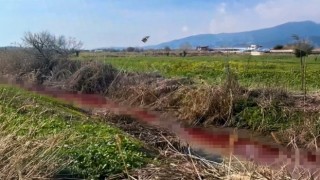 Efeler Belediyesi çevre kirliliğine geçit vermedi