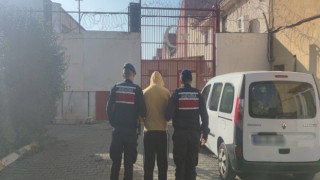 Zeytinyağı hırsızları jandarmadan kaçamadı