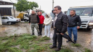 Başkan Yetişkin fırtınadan zarar gören bölgelerde incelemelerde bulundu
