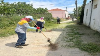 Belediye ekipleri Akköy'de otlara geçit vermiyor
