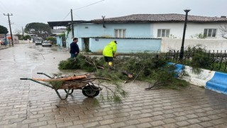 İncirliova’da fırtına etkili oldu