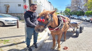 Yarım Asırlık Meslek Onunla Yaşıyor: Aydın’ın Son At Arabacısı