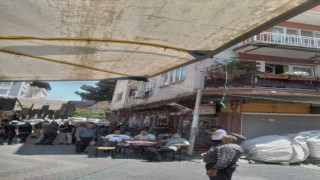 Aydın'da oğul çıkaran arı kolonisi pazar tezgahına kondu