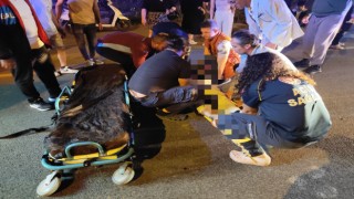 Domuz sürüsüne çarpan motosiklet sürücüsü ağır yaralandı