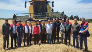 Hububatta hasat dönemi başladı