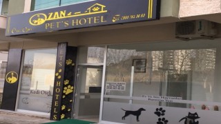 Ozan Pet's Hotel: Kediniz Güvende, Siz Huzurlu