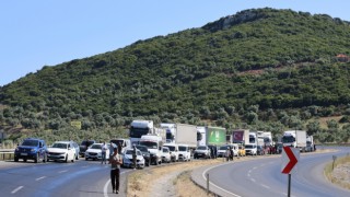 Tankerden dökülen balık yağı karayolunu savaş alanına çevirdi